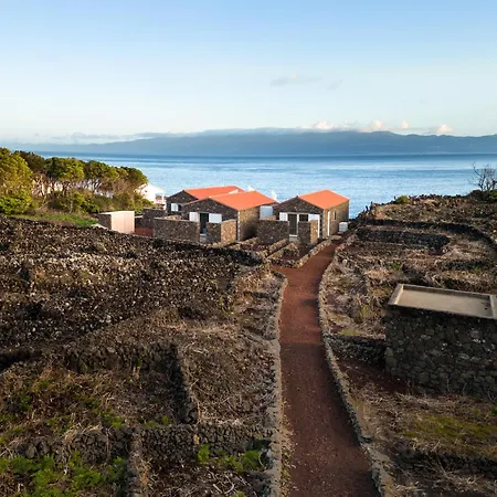 Sea Vine - Azores Eco