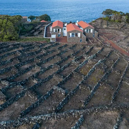 Sea Vine - Azores Eco Villa *