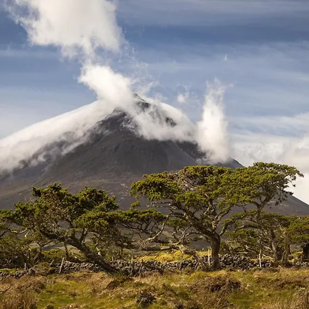 Sea Vine - Azores Eco * Cais do Galego